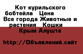 Кот курильского бобтейла › Цена ­ 5 000 - Все города Животные и растения » Кошки   . Крым,Алушта